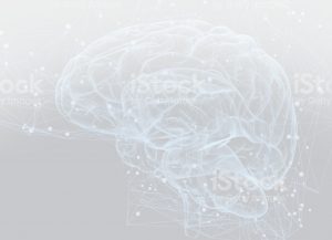 BrainCore Therapy Brain Image