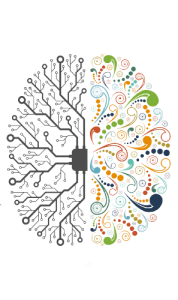 Half Wired and Half Colorful Brain Thin Transparent Background